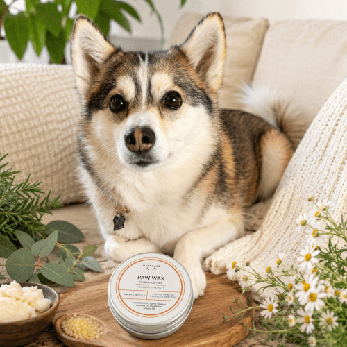 Alternative view of Organic Paw Wax